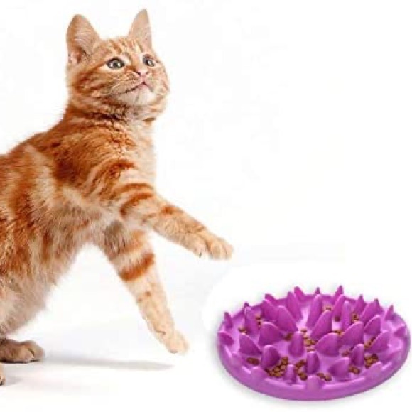 Dougez Catch Cat Interactive Feeder - Picture 2 of 6